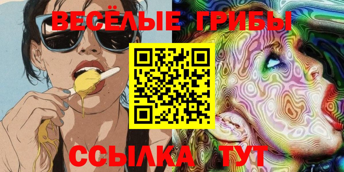 Галлюциногенные грибы Psilocybe Смоленск
