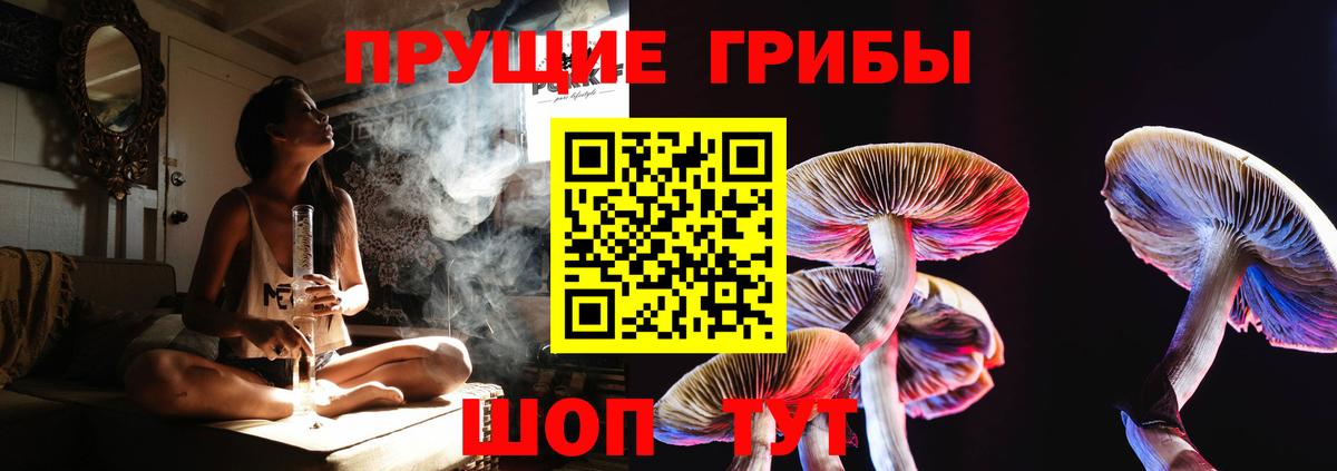 Смоленск  Псилоцибиновые грибы Cubensis  Вход с VPN 